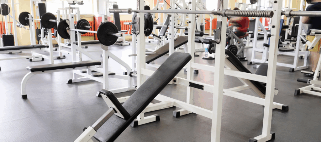 commercial grade strength equipment for fitness facilities