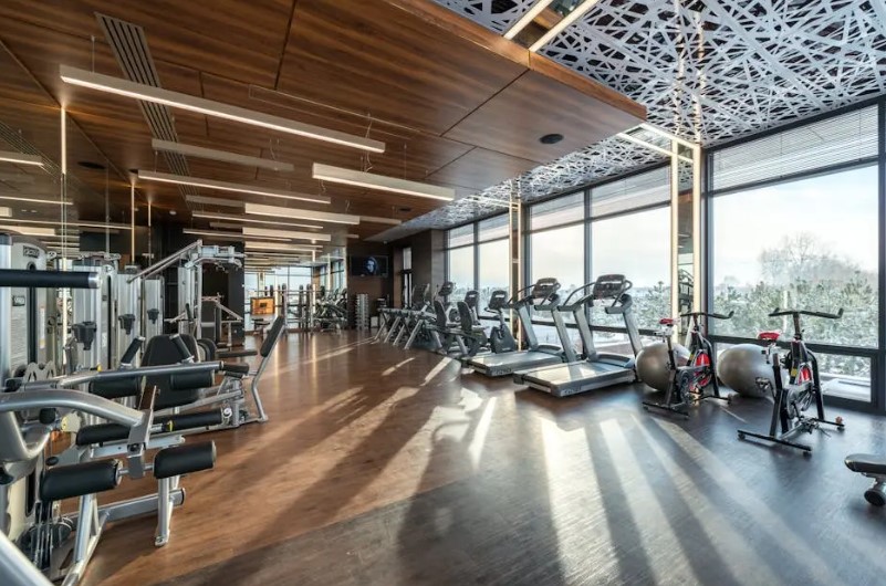 professional commercial gym equipment for high-traffic facilities